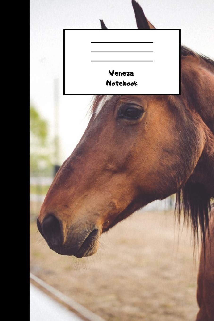 Veneza Notebook: 110 Lined Pages, 6 x 9 inches, Daily Paperback Notebook, Journal, Diary Book, Book For Gift, Funny Gift Pets