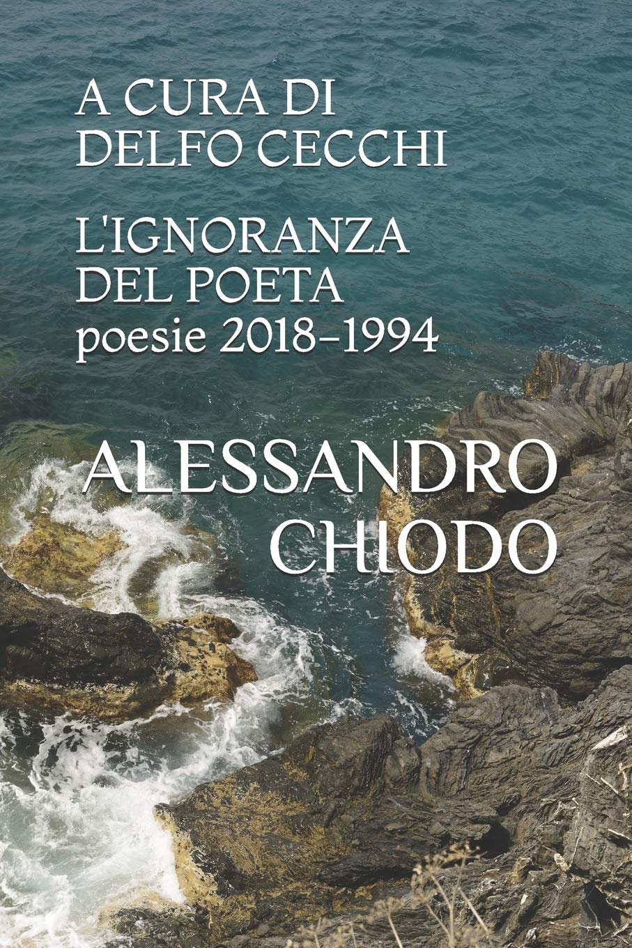 L'IGNORANZA DEL POETA poesie 2018 - 1994: A cura e con una postfazione di Delfo Cecchi. Contributi di Bartoccio, Cecchi, di Stefano, Jaeschke, Maggiani, Salzani. (I Libri Di Alessandro Chiodo, Band 1) Poetry