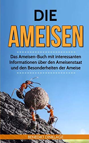 Die Ameisen: Das Ameisen-Buch mit interessanten Informationen über den Ameisenstaat und den Besonderheiten der Ameise Mathematics