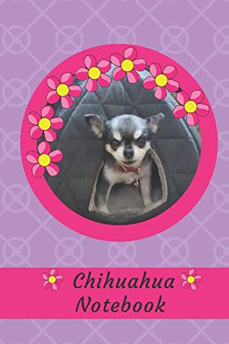 Chihuahua Notebook: Cute Decorated Dog Lovers Journal Notebook 120 lined pages 6x9 inch size book (Puppy Dogs 6x9, Band 3) Pets