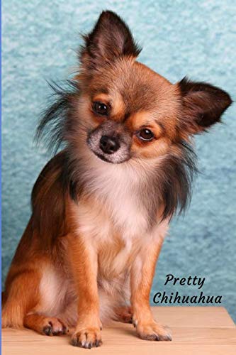Pretty Chihuahua: Cute Decorated Dog Lovers Journal Notebook 120 lined pages 6x9 inch size book (Puppy Dogs 6x9, Band 4) Pets