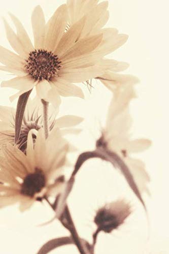 Sunflower Sunshine: Journal, Notebook, or Diary - Blank lined, 6 x 9 inches, 150 pages (Floral Series, Band 7) Essays & Short Stories