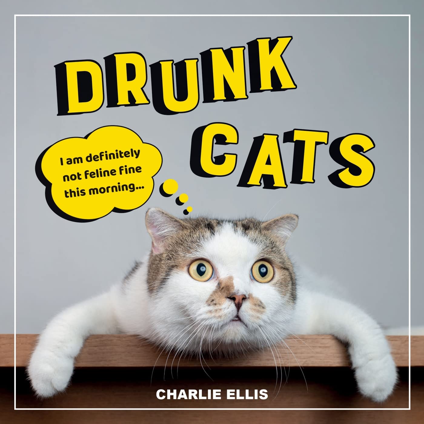 Drunk Cats: Hilarious Snaps of Wasted Cats Lifestyle