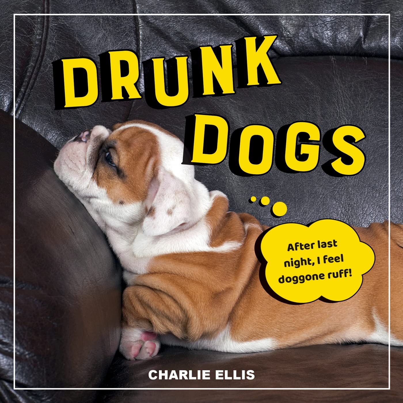 Drunk Dogs: Hilarious Pics of Plastered Pups Pets
