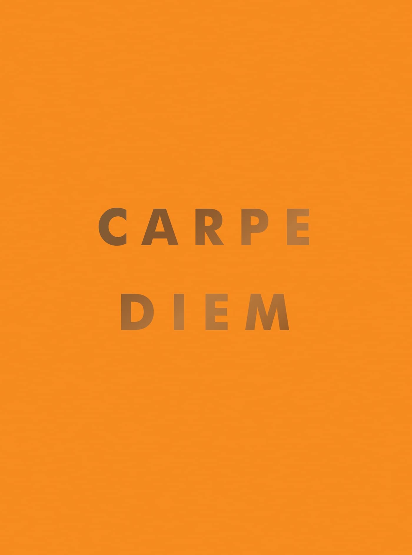 Carpe Diem: Inspirational Quotes and Awesome Affirmations for Seizing the Day Business, Finance & Career
