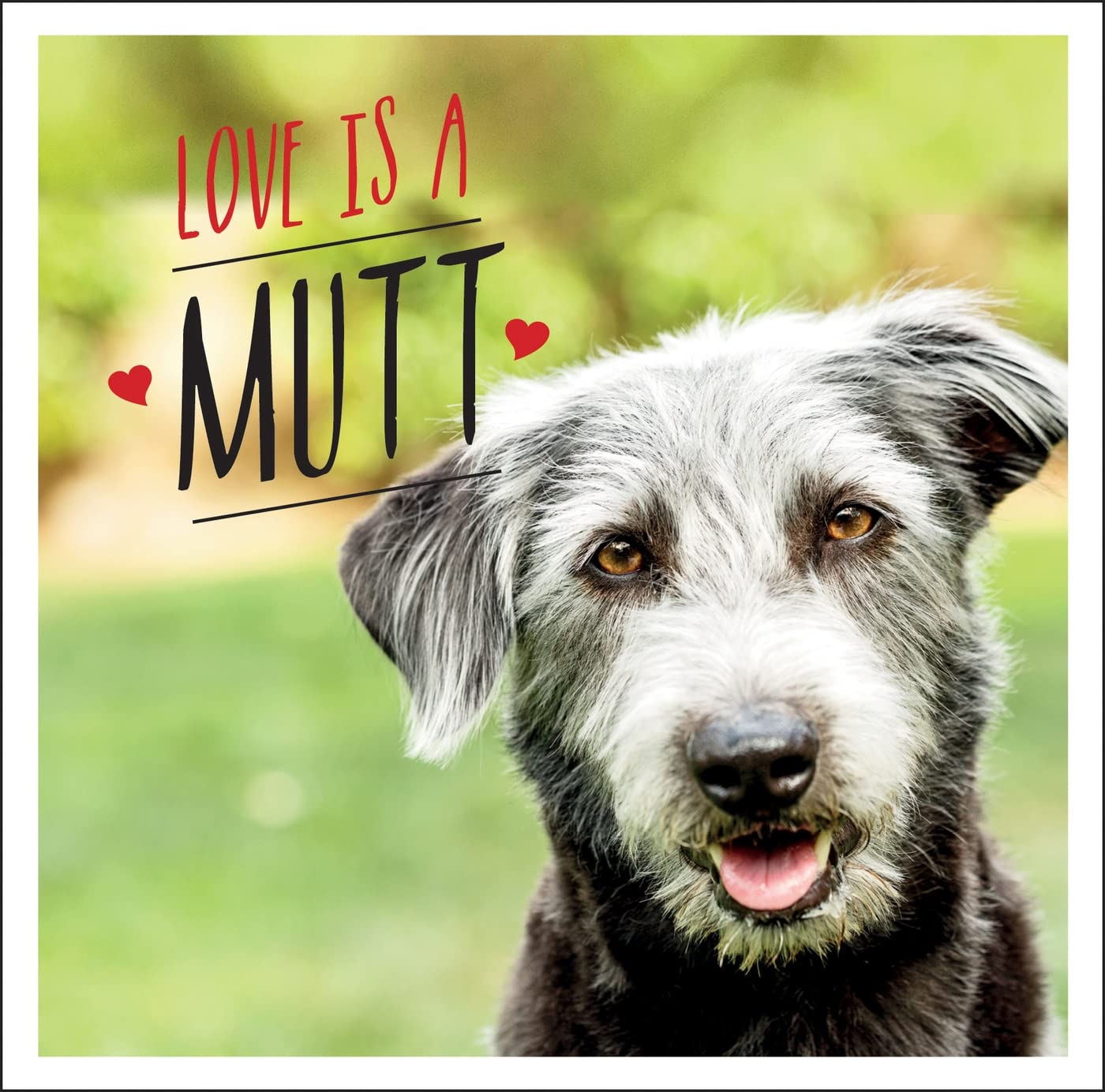 Love Is a Mutt: A Dog-tastic Celebration of the World's Cutest Mixed and Cross Breeds Nature & Animals