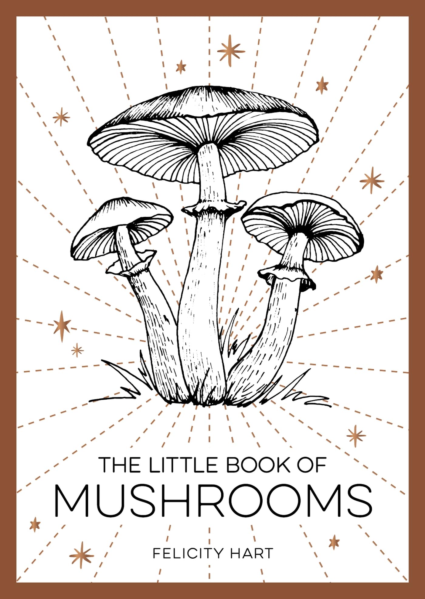 The Little Book of Mushrooms Mathematics