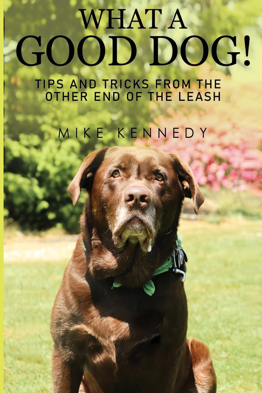 What a Good Dog! Tips and Tricks from the Other End of the Leash. Pets