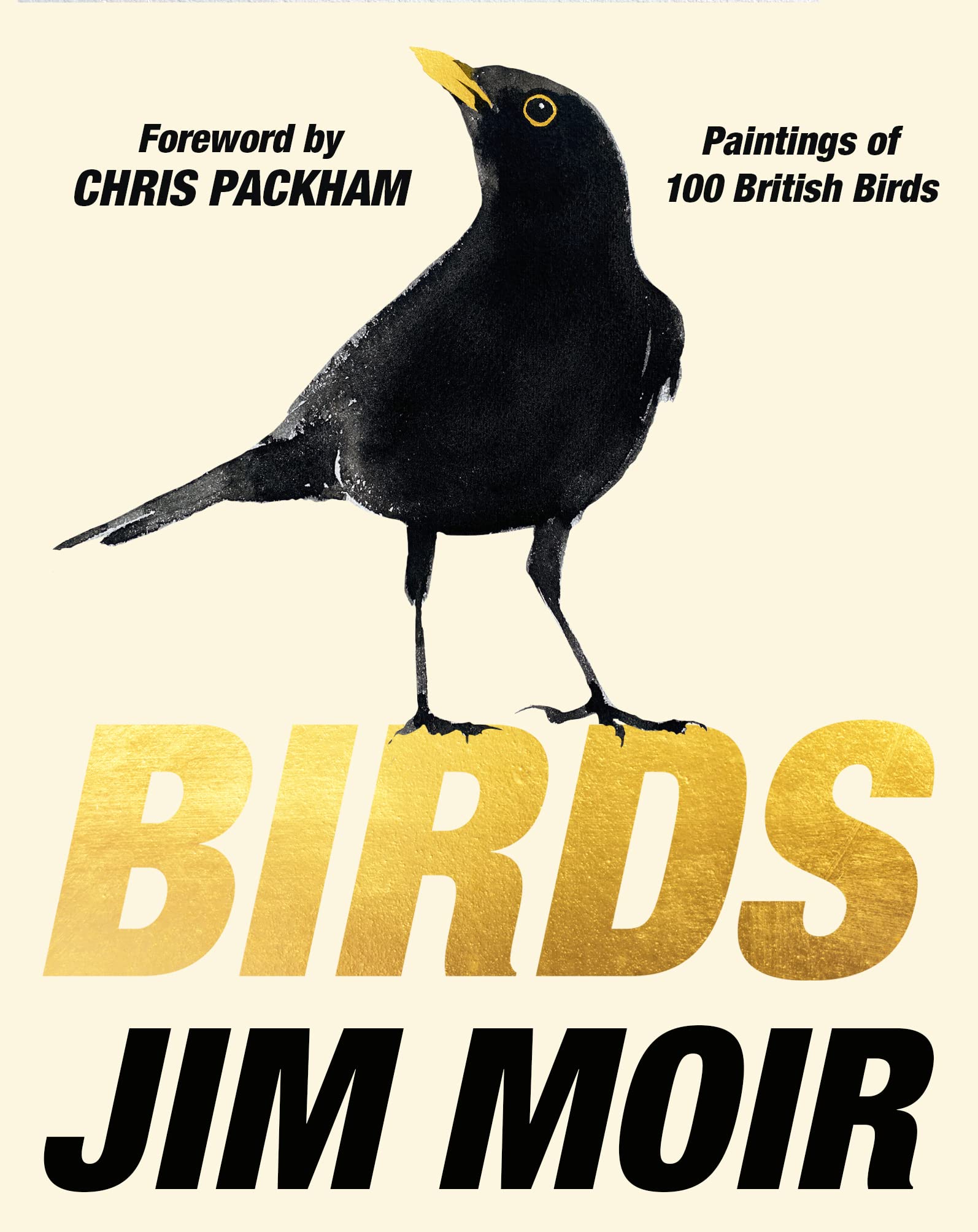 Birds: The Sunday Times Bestseller Mathematics