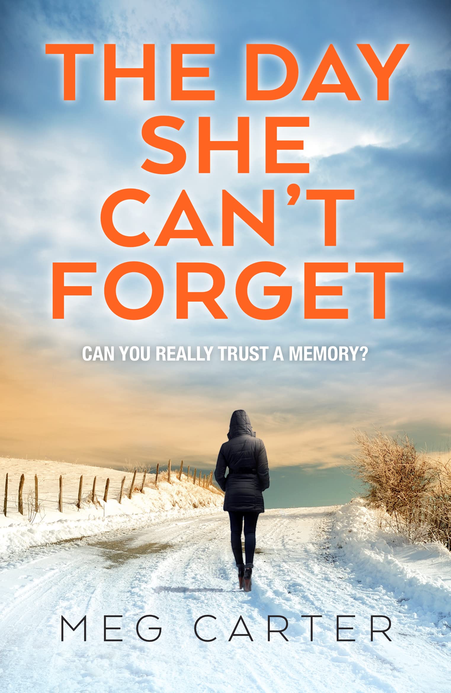 The Day She Can't Forget: A compelling psychological thriller that will keep you guessing Contemporary literature