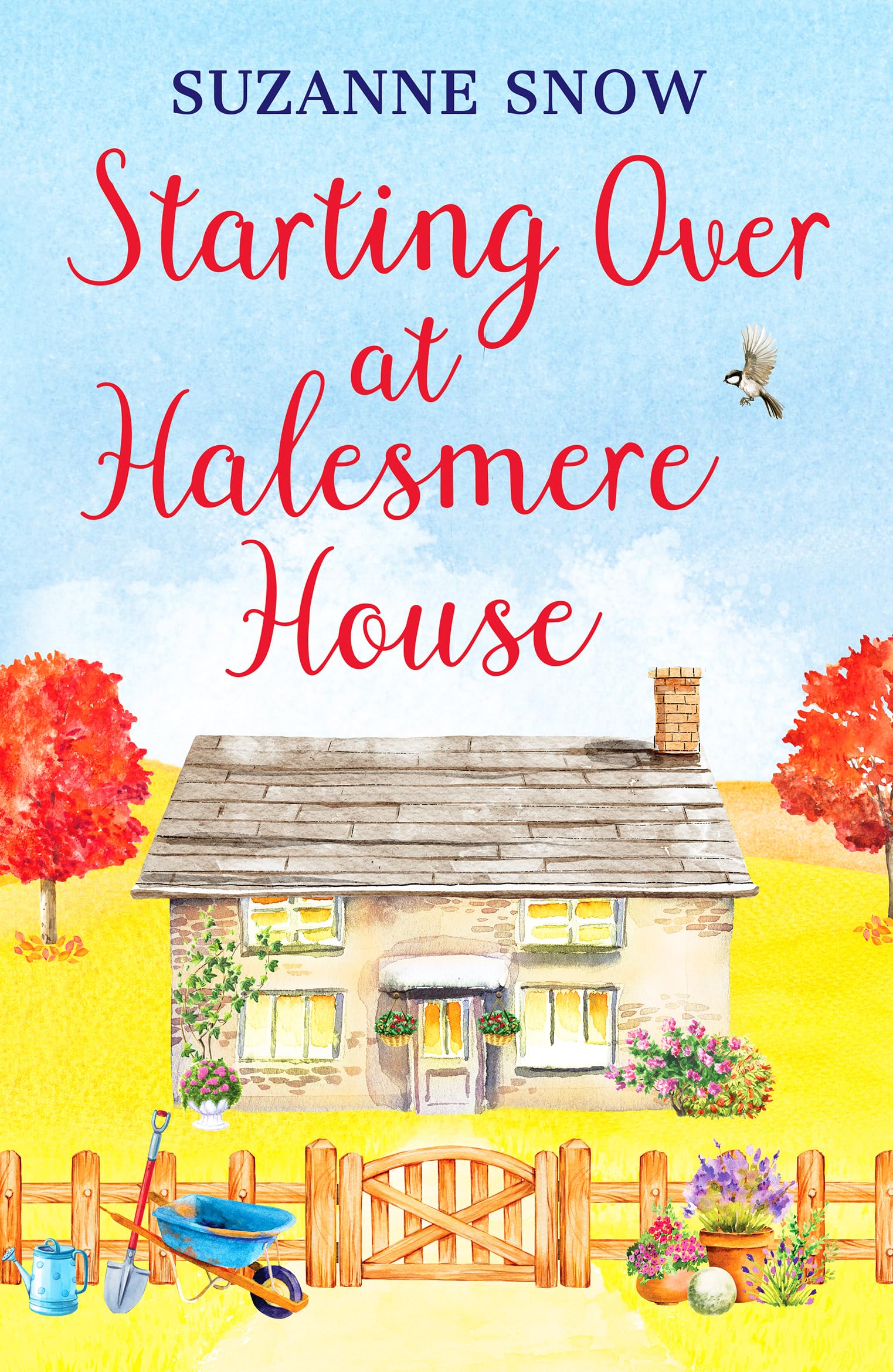 Starting Over at Halesmere House (Love in the Lakes, 3) Contemporary literature