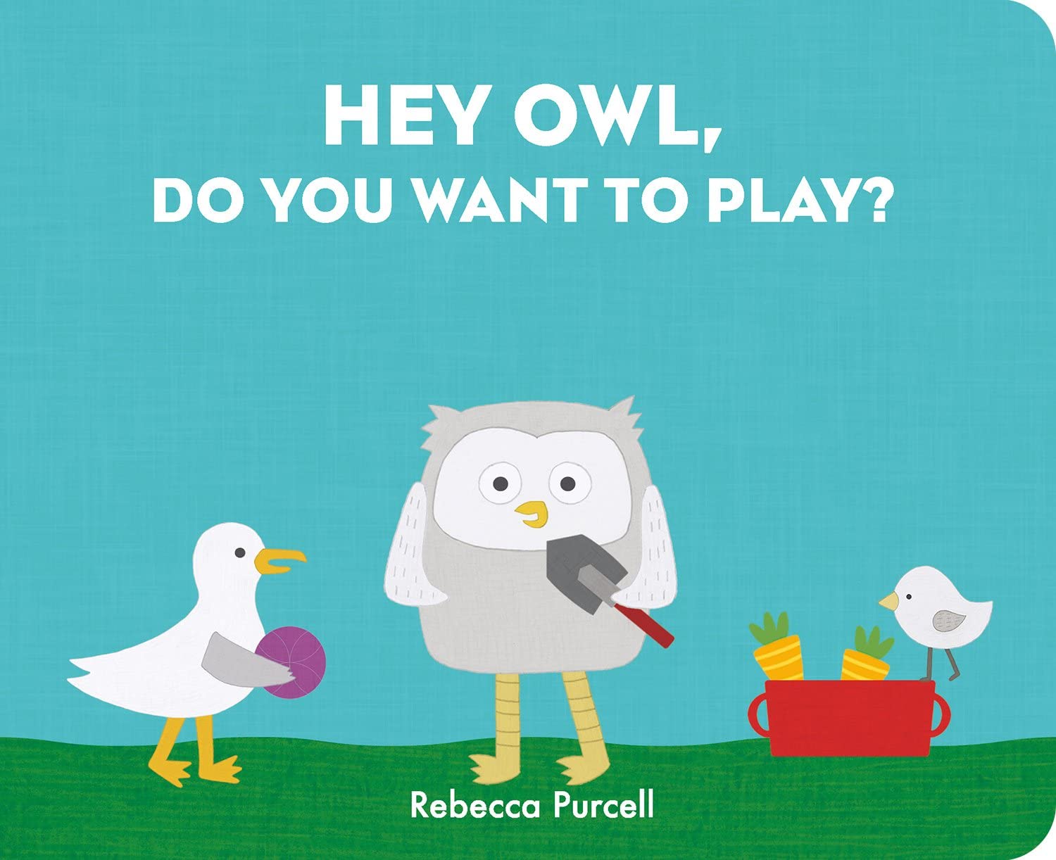 Hey Owl, Do You Want to Play? book