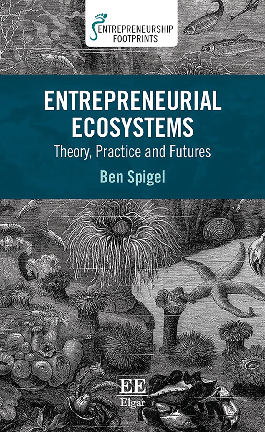 Entrepreneurial Ecosystems: Theory, Practice and Futures (Entrepreneurship Footprints) Business, Finance & Career