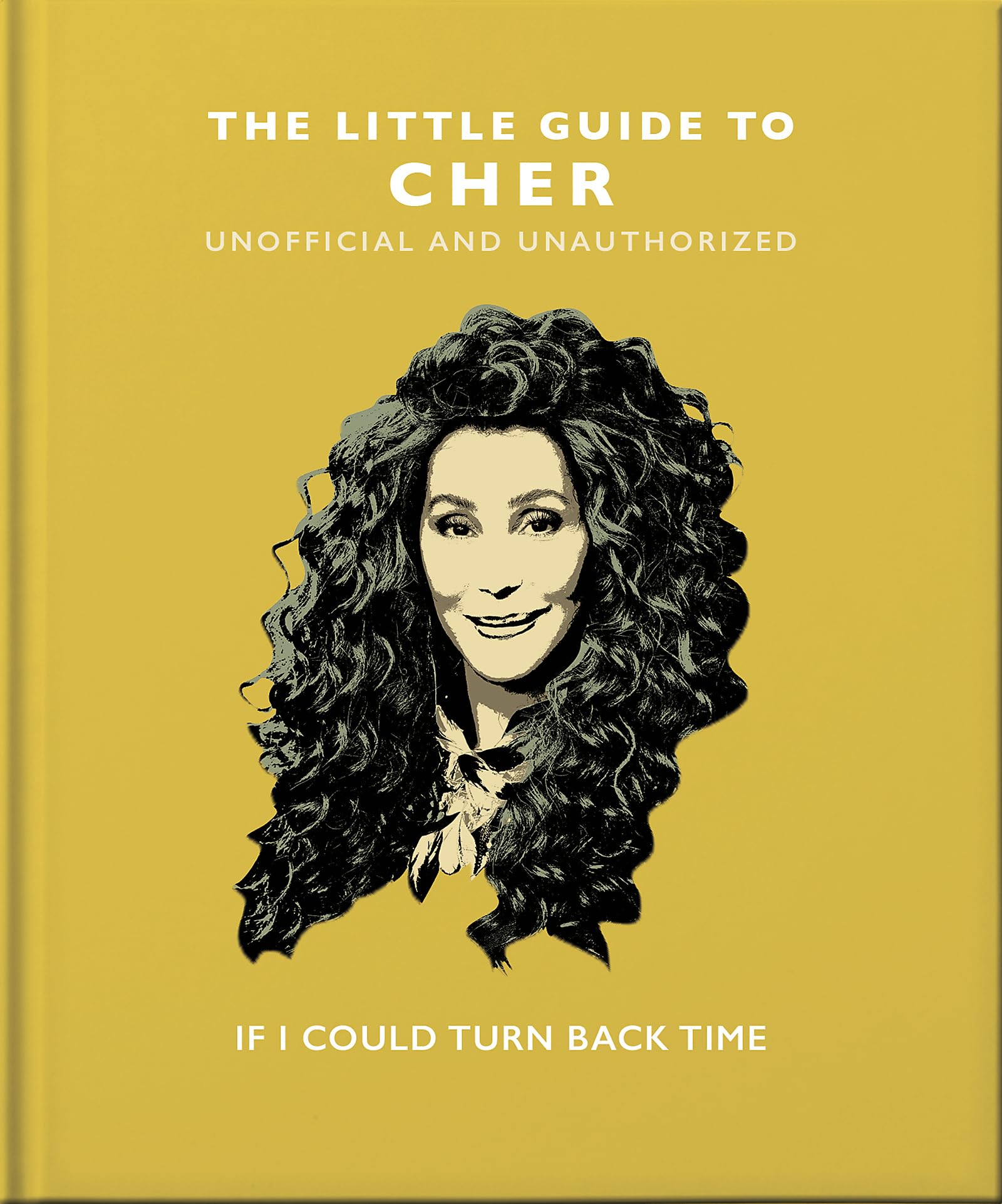 The Little Guide to Cher: If I Could Turn Back Time (Little Books of Music) Pop culture
