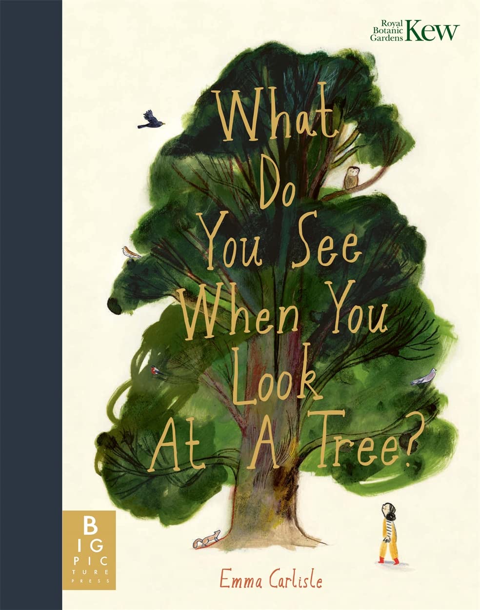 What Do You See When You Look At a Tree? Mathematics