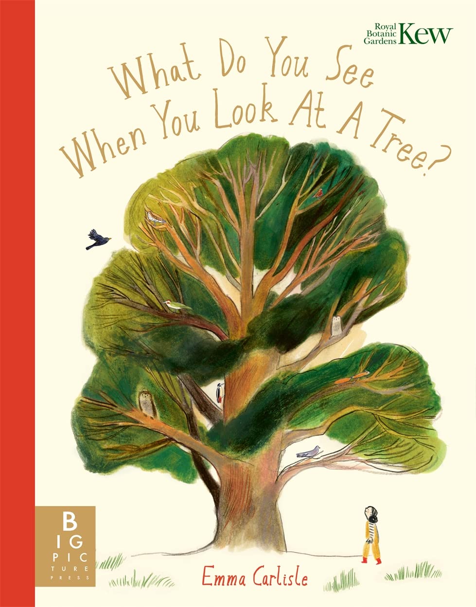 What Do You See When You Look At a Tree? Mathematics