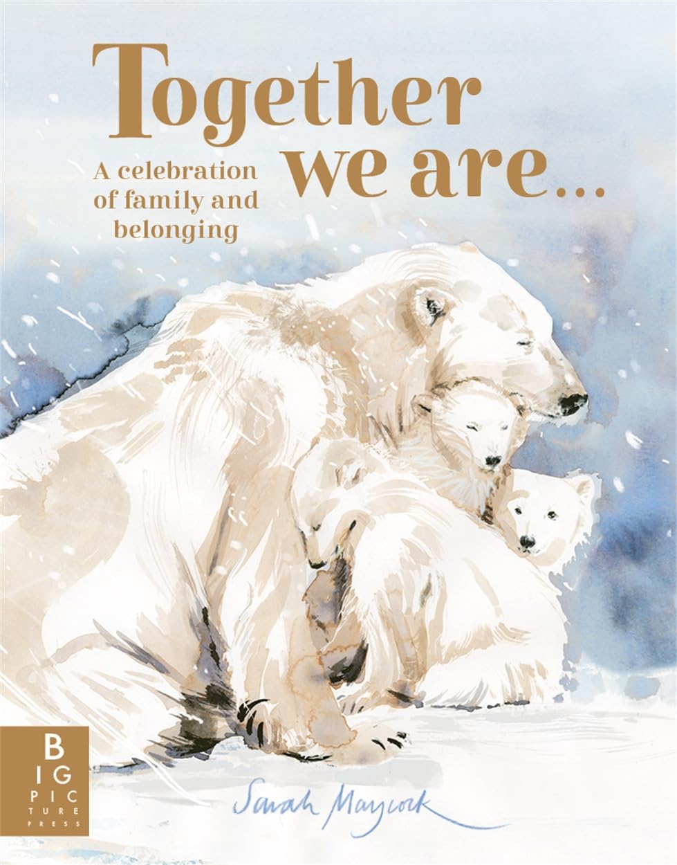 Together We Are...: A Celebration of Family and Belonging (Sarah Maycock) Non-fiction