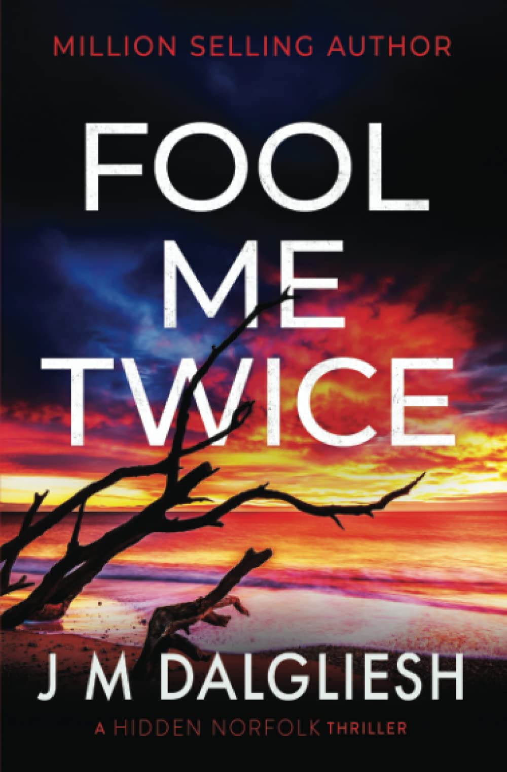Fool Me Twice: A Hidden Norfolk Thriller (Book 10) Contemporary literature