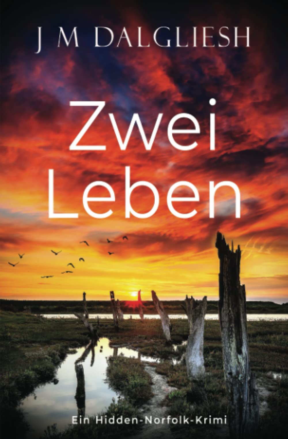 Zwei Leben (Hidden-Norfolk-Krimi, Band 10) Detective & CSI