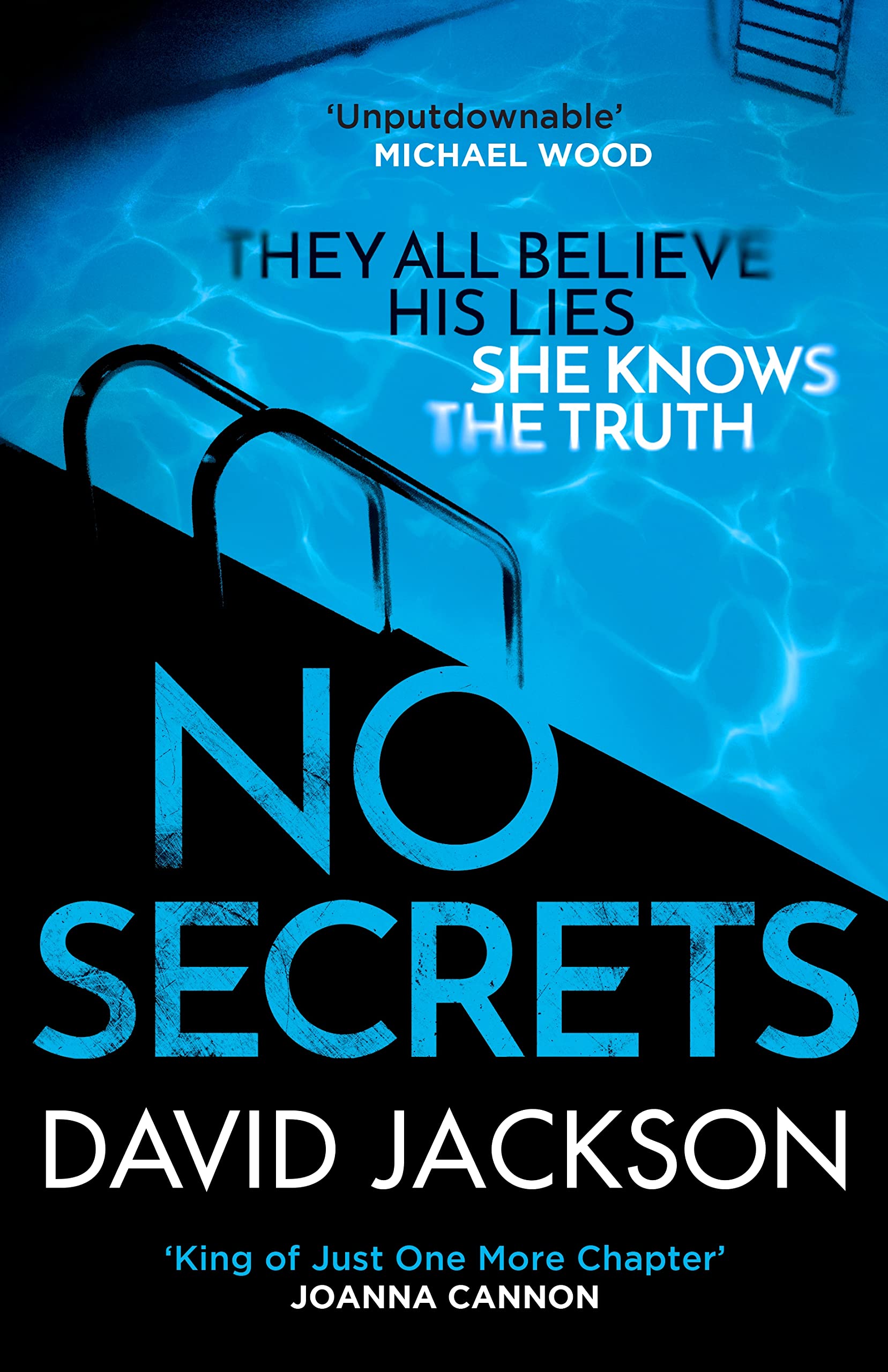 No Secrets: a totally gripping serial killer thriller from the bestselling author of Cry Baby Contemporary literature