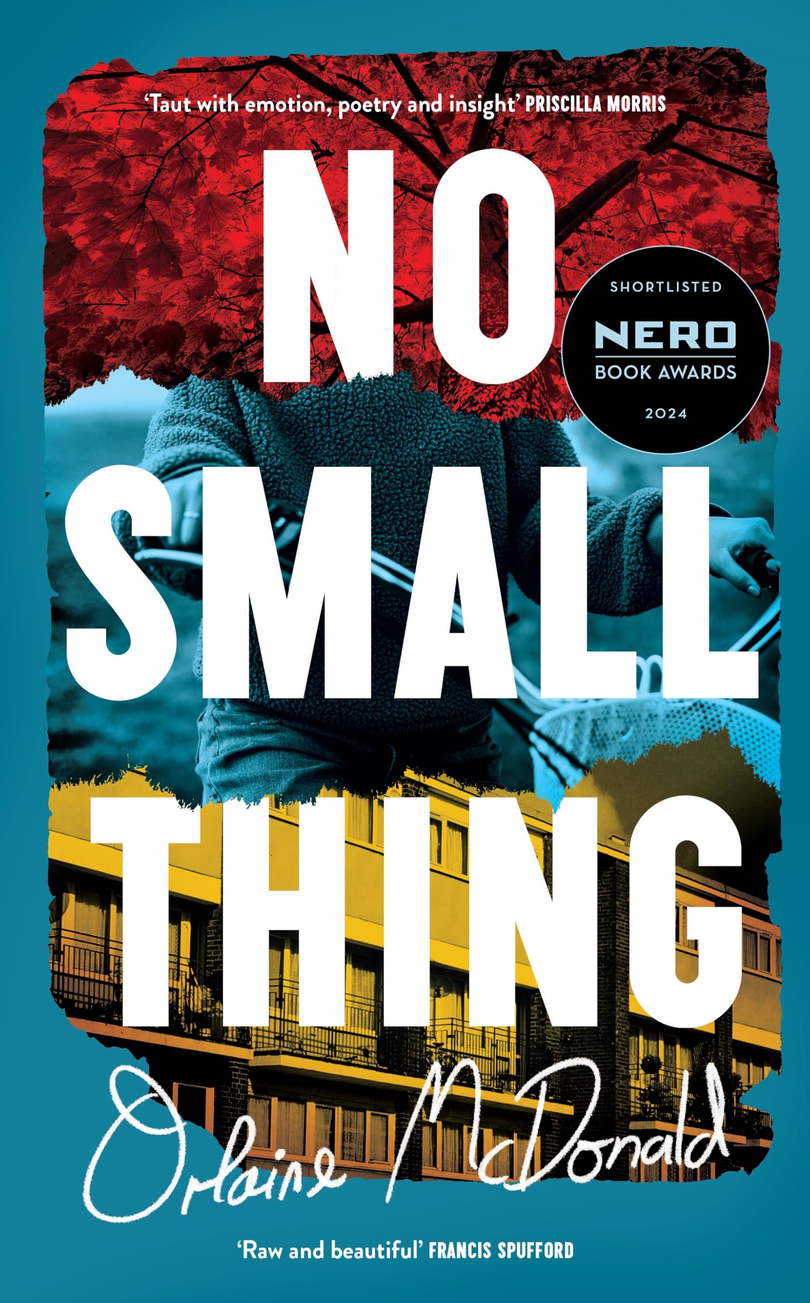 No Small Thing: 'One of the best debut novels I’ve read in recent years' Bernardine Evaristo Contemporary literature