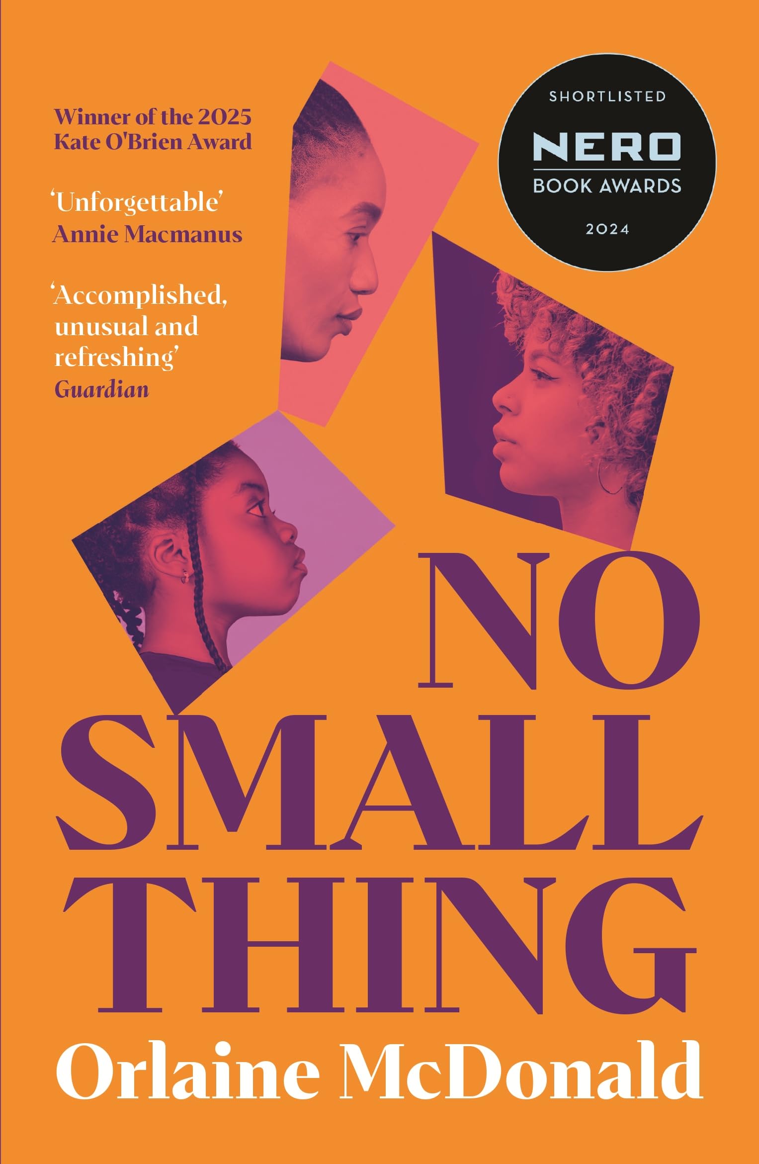 No Small Thing: 'One of the best debut novels I’ve read in recent years' Bernardine Evaristo Contemporary literature