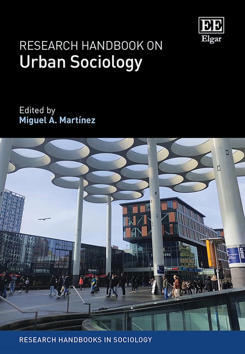 Research Handbook on Urban Sociology (Research Handbooks in Sociology) Social Sciences