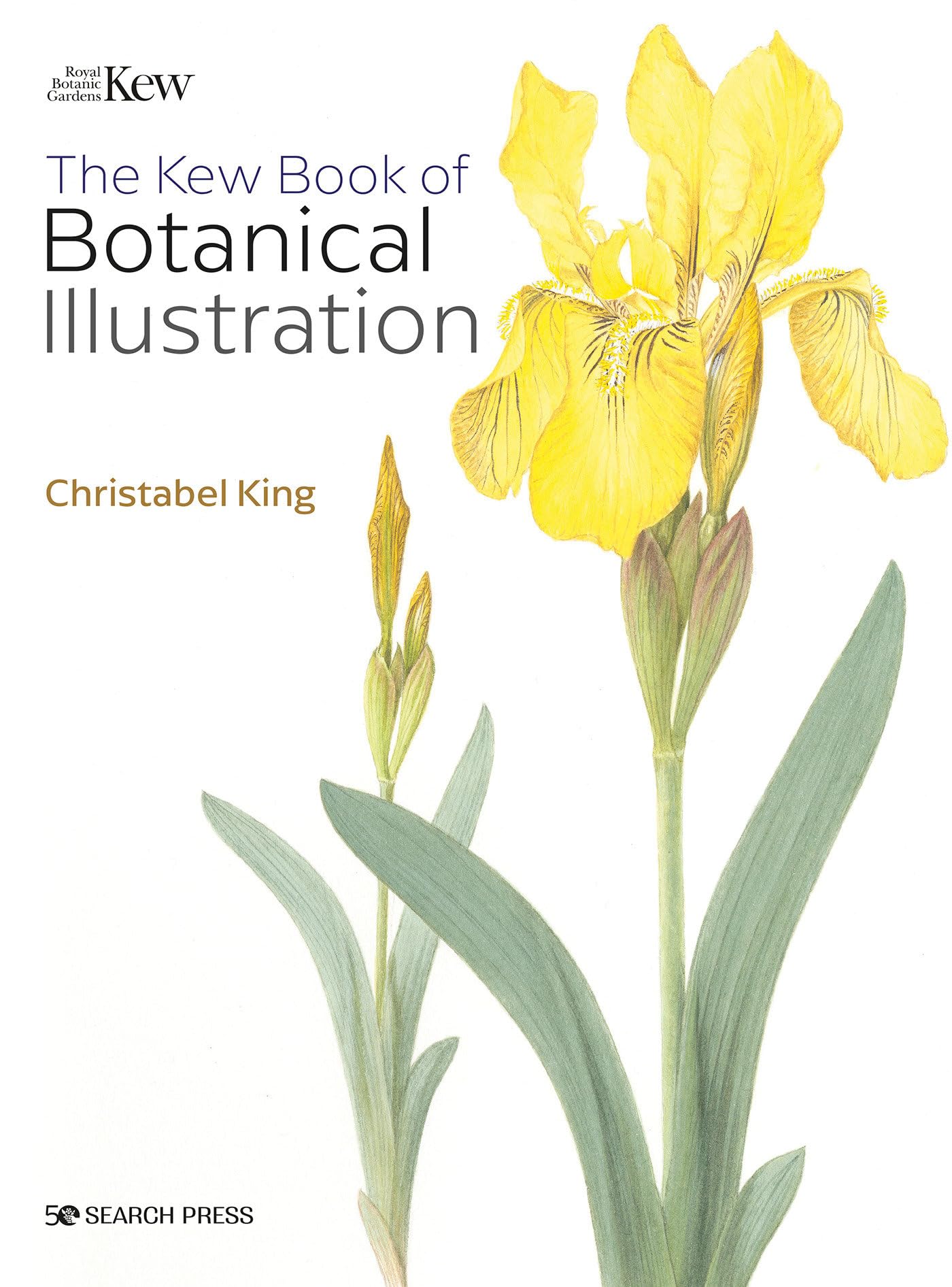 The Kew Book of Botanical Illustration Mathematics