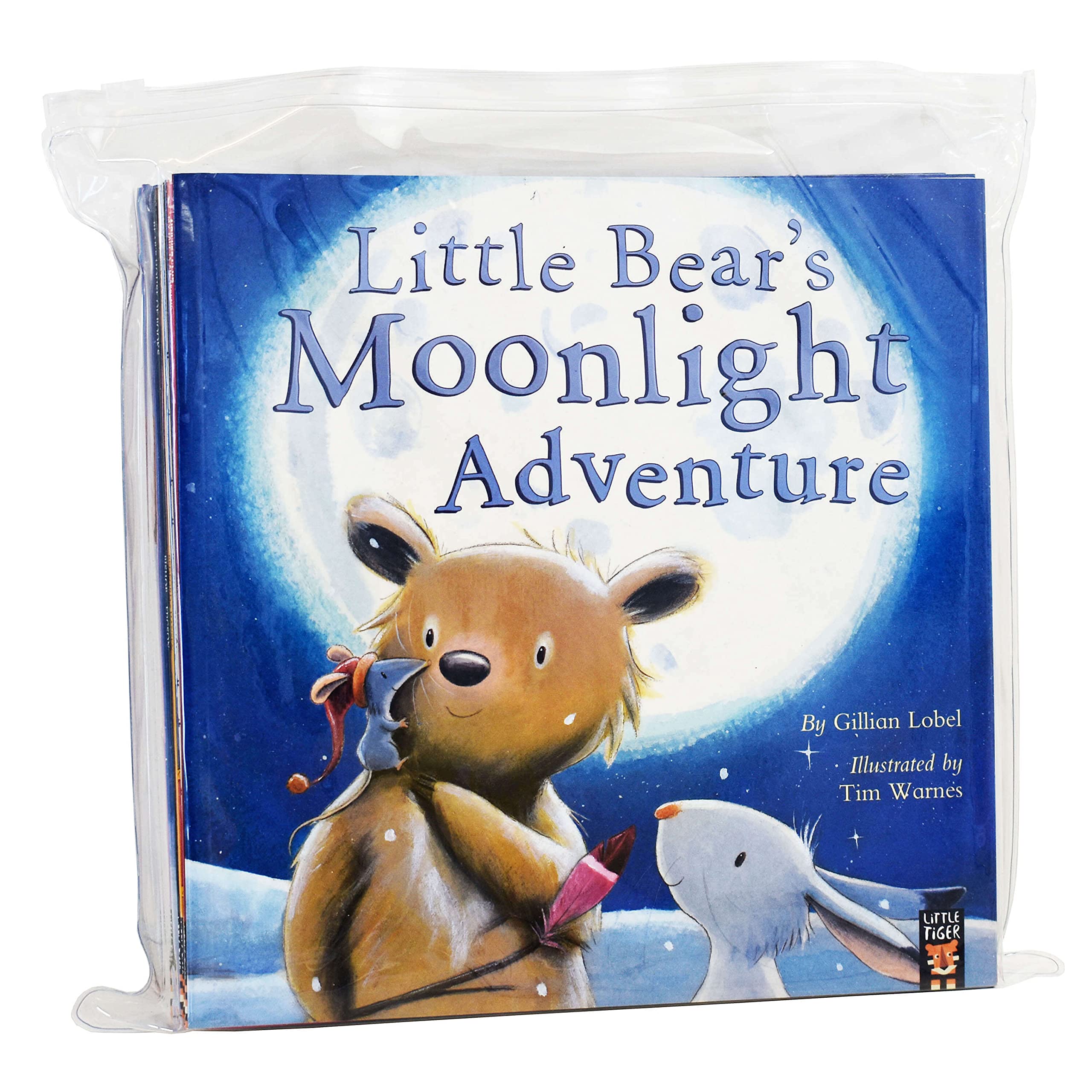 Animal Picture 10 Books (Moonlight Adventure, Long Way, Bears House,Friend, Unicorn Club, Love, Little Owl, World, Monster, Big Bears Can) book