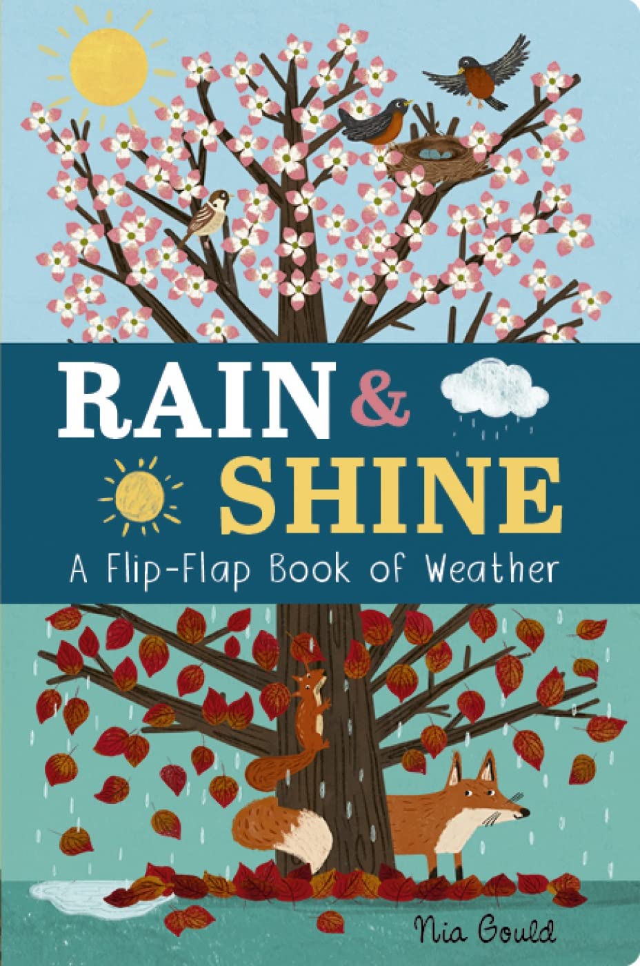 Rain & Shine: A Flip-Flap Book of Weather Non-fiction