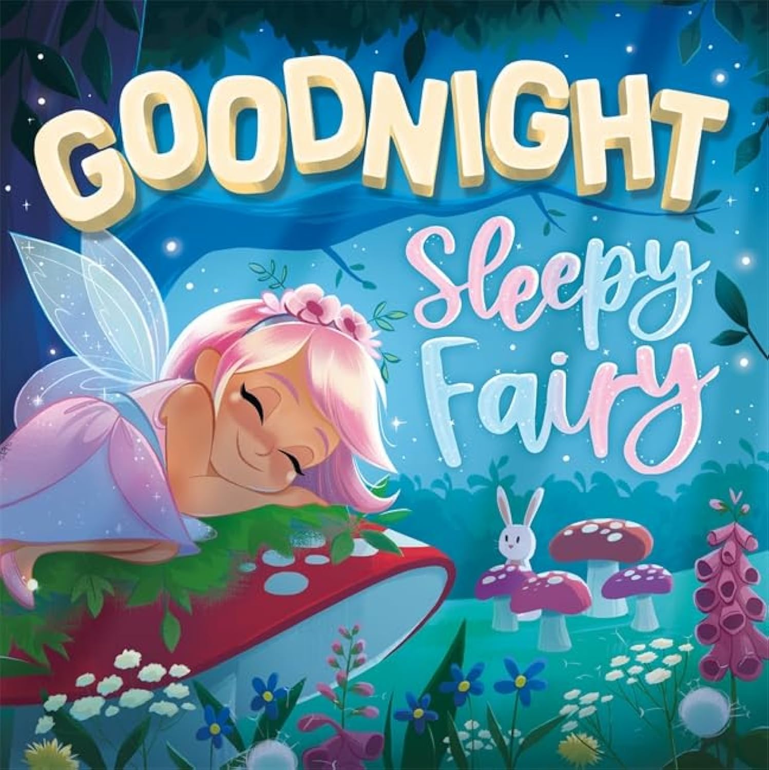 Goodnight, Sleepy Fairy (Picture Flats) Non-fiction