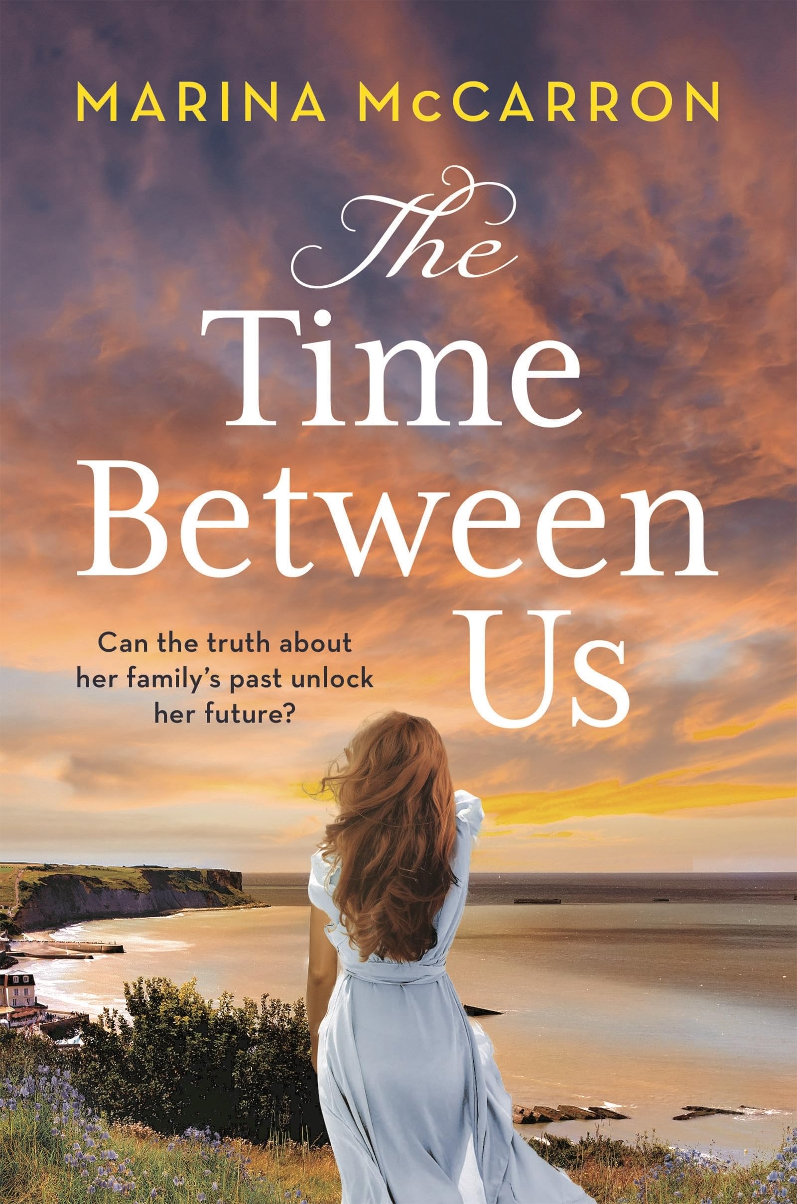 The Time Between Us: An emotional, gripping historical page turner Social Sciences