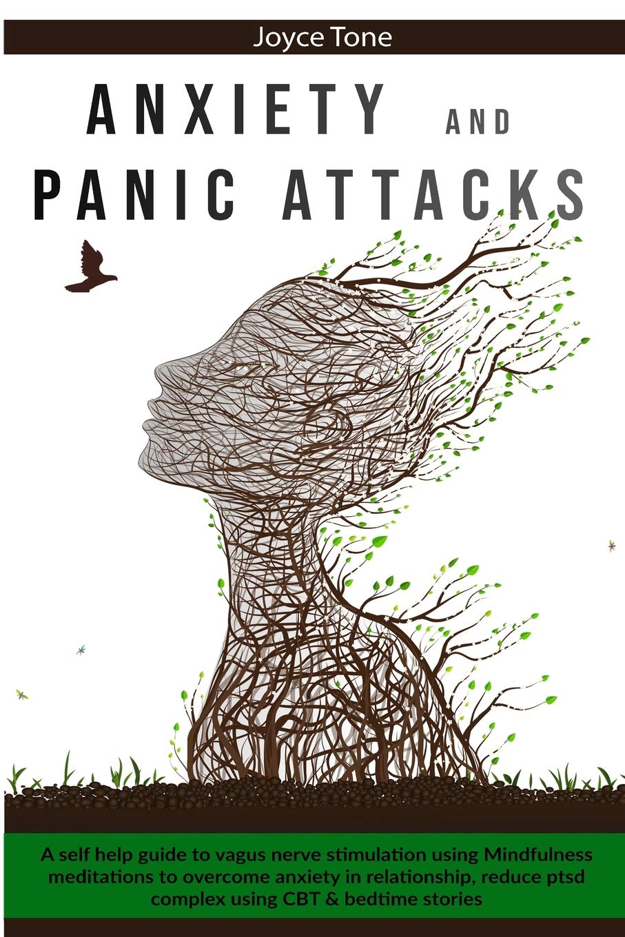 Anxiety and Panic Attacks: A self help guide to vagus nerve stimulation using mindfulness meditations to overcome anxiety in relationship, reduce ptsd complex using CBT and bedtime stories Natural Sciences