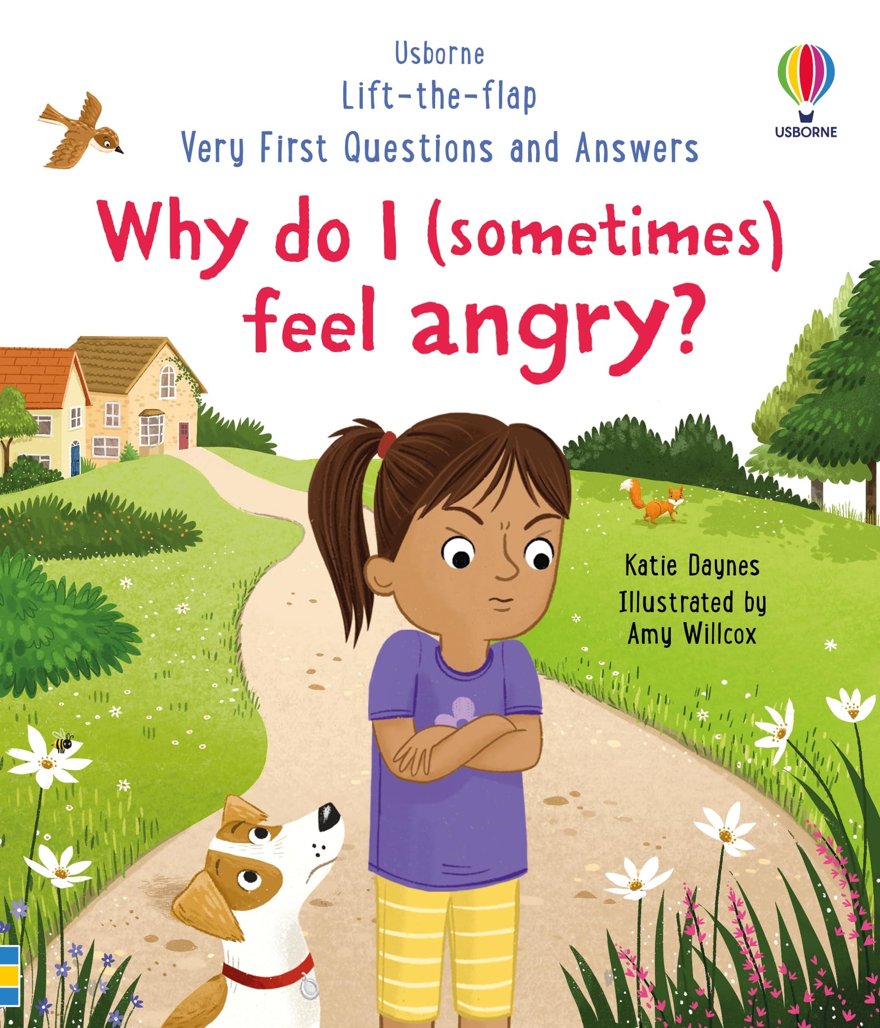 Very First Questions and Answers: Why do I (sometimes) feel angry? Non-fiction