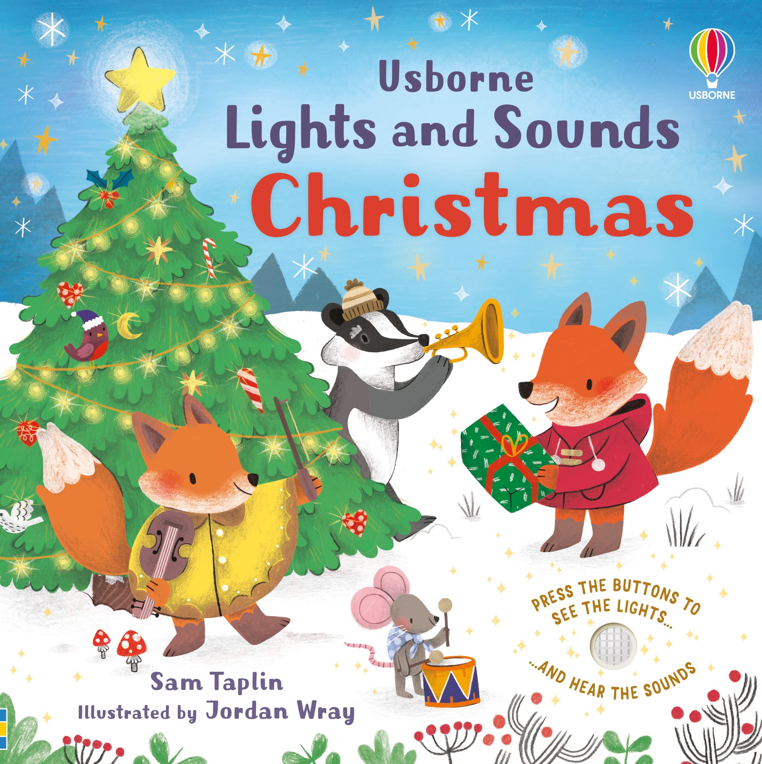 Lights and Sounds Christmas Non-fiction books for kids