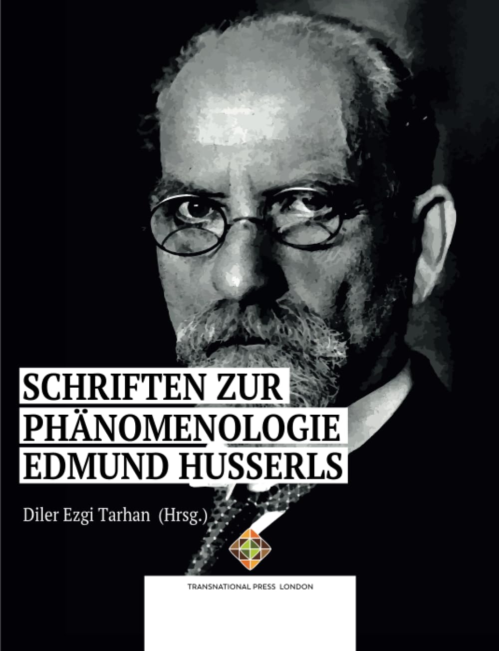 Schriften zur Phänomenologie Edmund Husserls (Philosophy Series) Philosophy