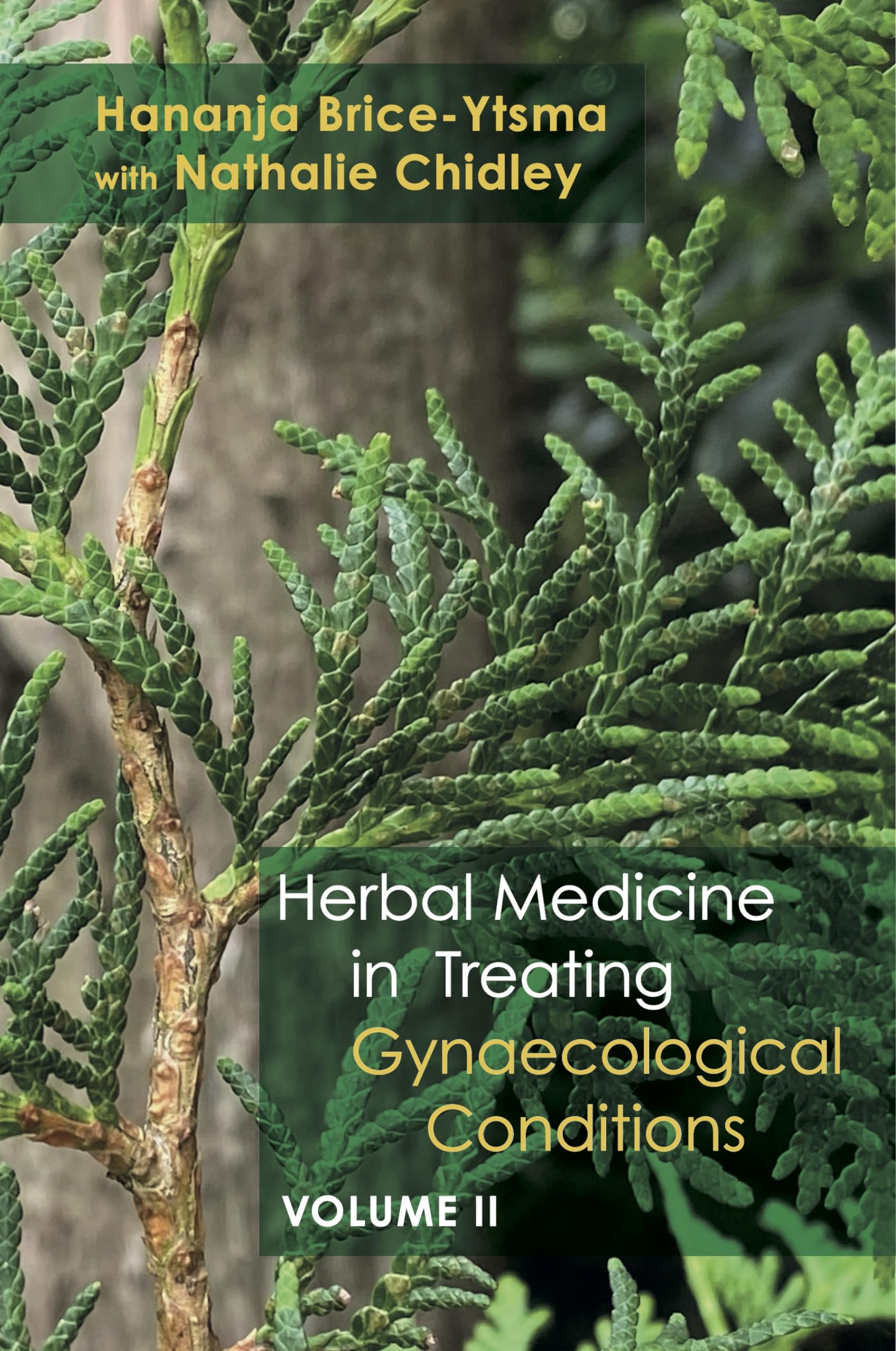Herbal Medicine in Treating Gynaecological Conditions Volume 2: Specific Conditions and Management Through the Practical Usage of Herbs Medicine