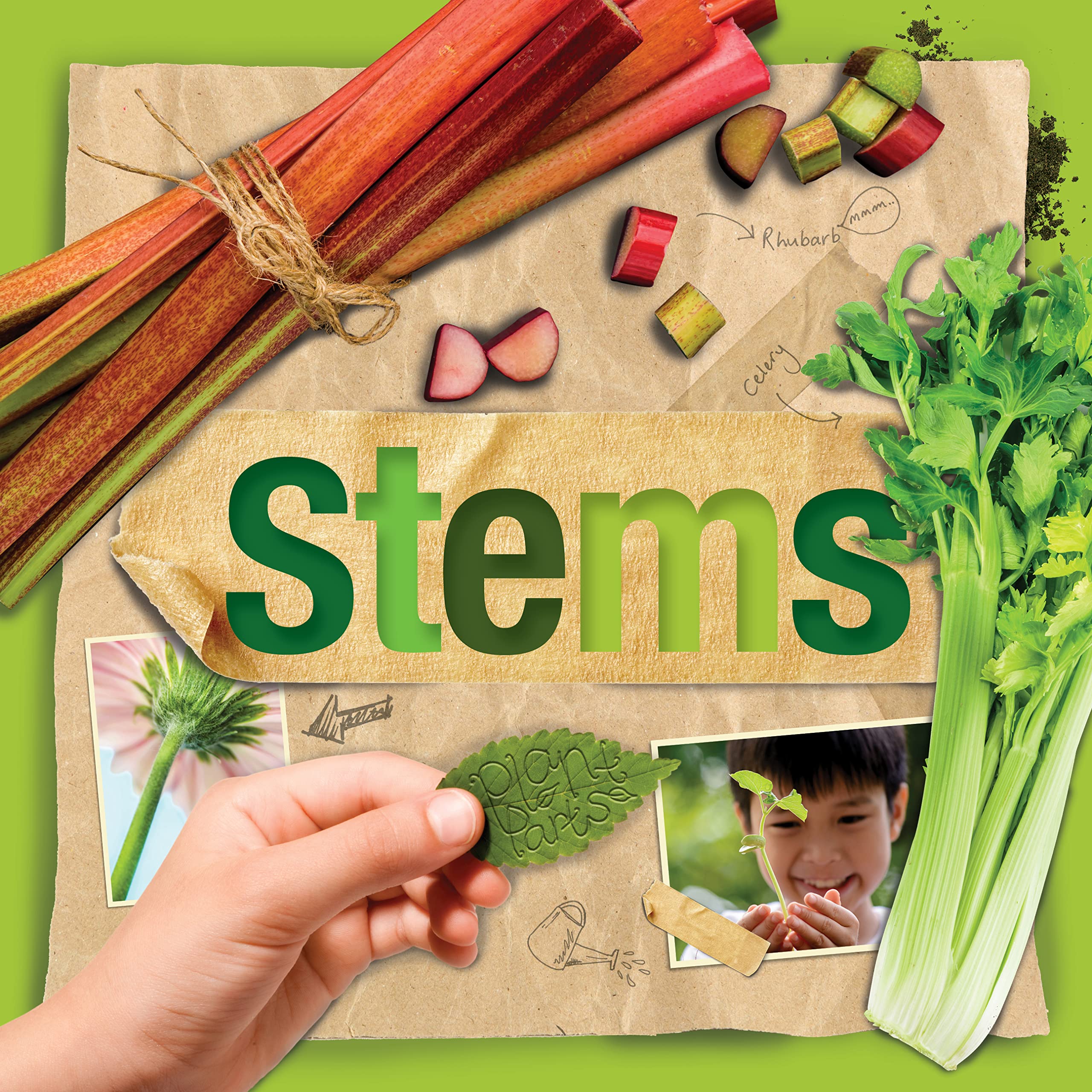 Stems Non-fiction