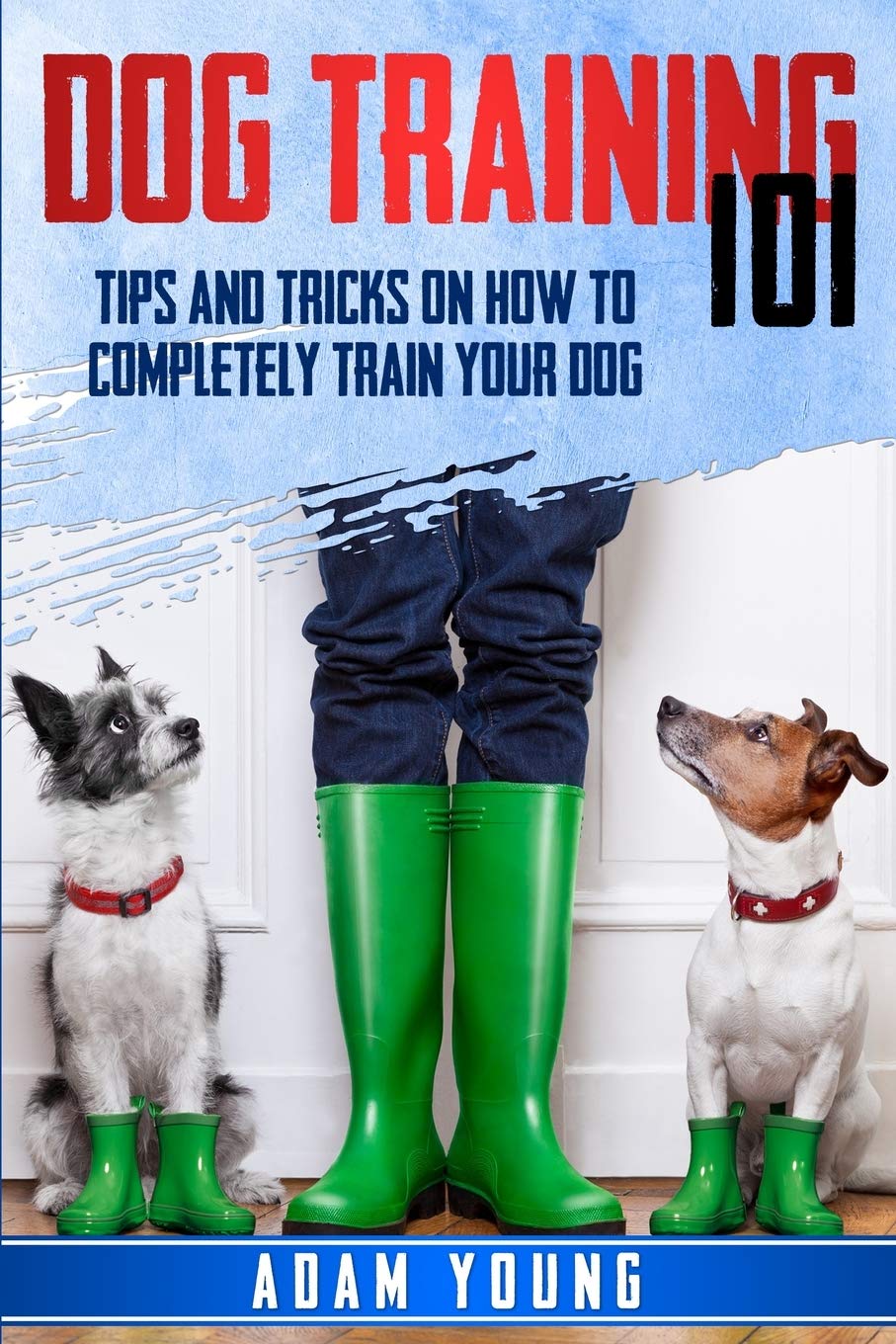 Dog Training 101: Tips and Tricks on How to Completely Train Your Dog Pets