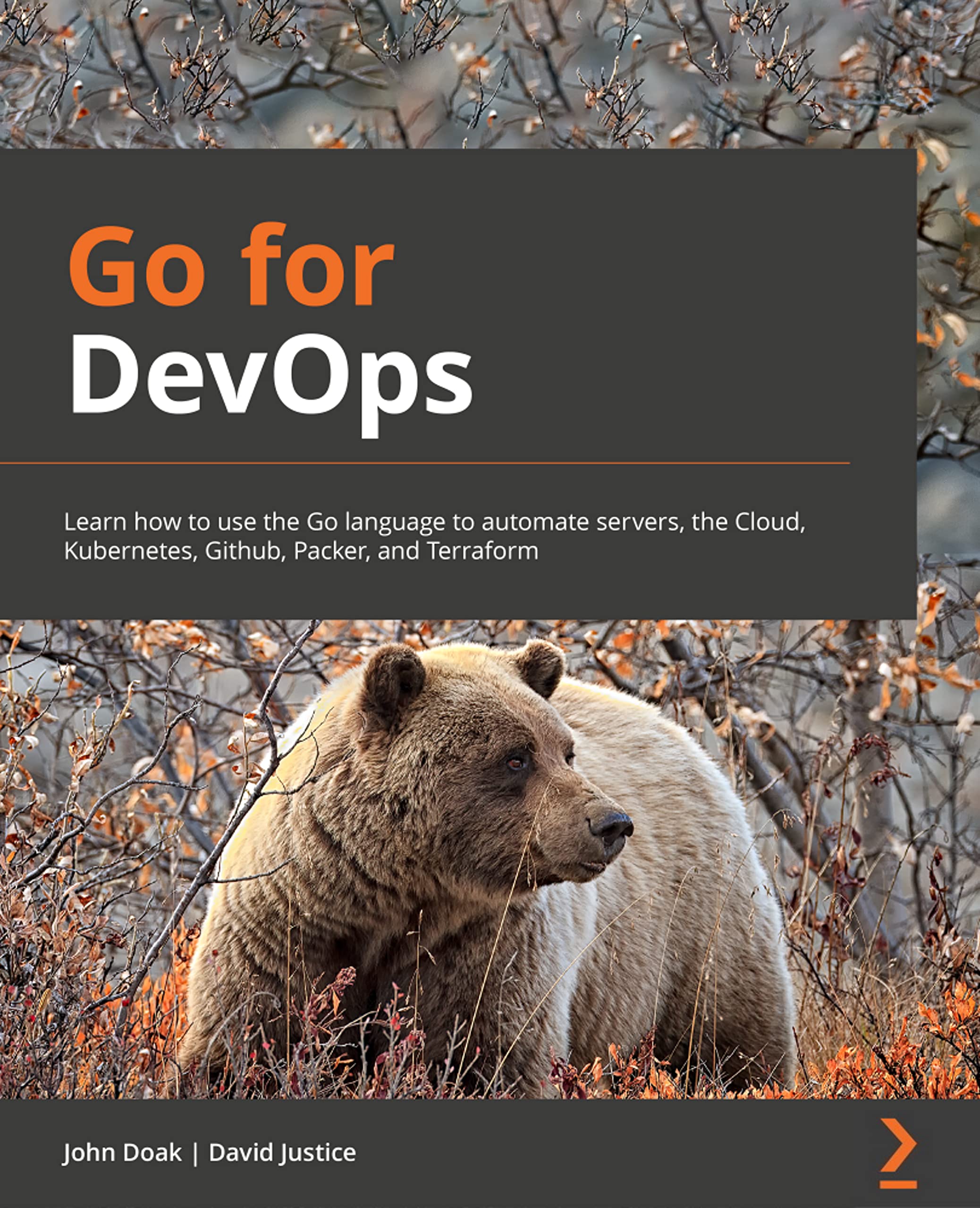 Product Image: Go for DevOps: Learn how to use the Go language to automate servers, the cloud, Kubernetes, GitHub, Packer, and Terraform