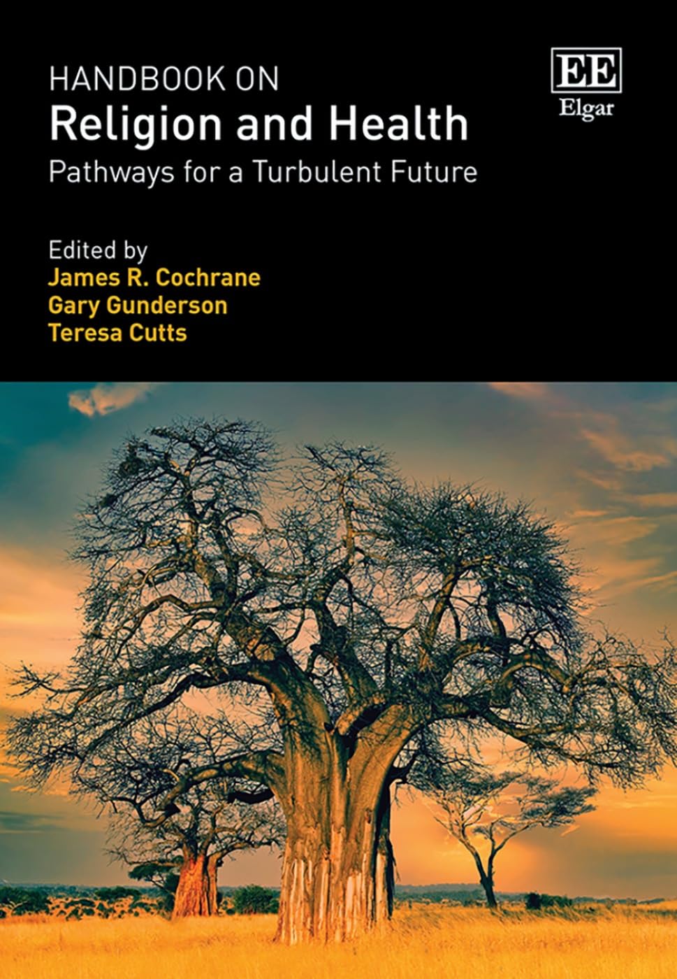 Handbook on Religion and Health: Pathways for a Turbulent Future Medicine