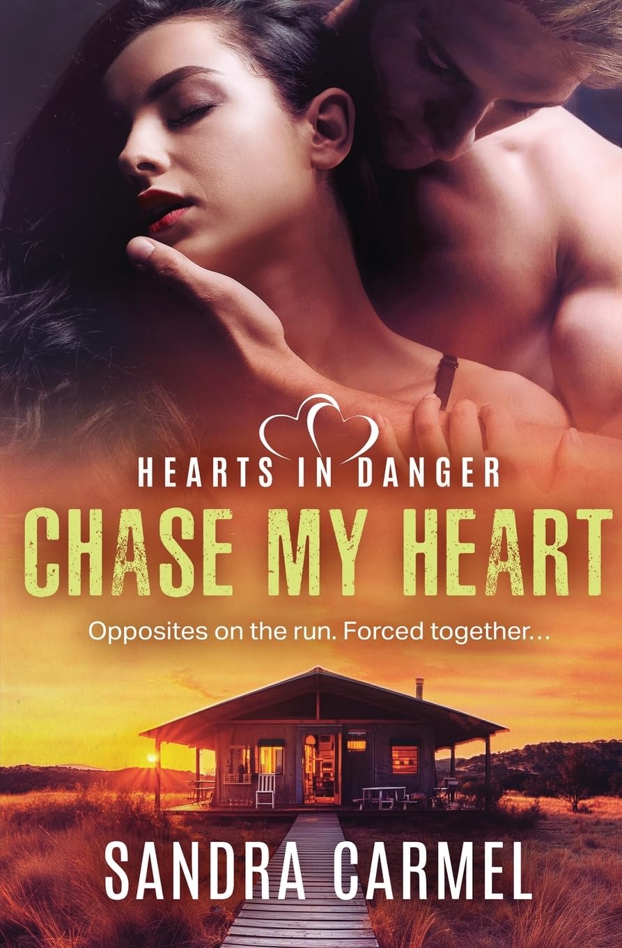 Chase my Heart (Hearts in Danger, Band 2) Contemporary literature
