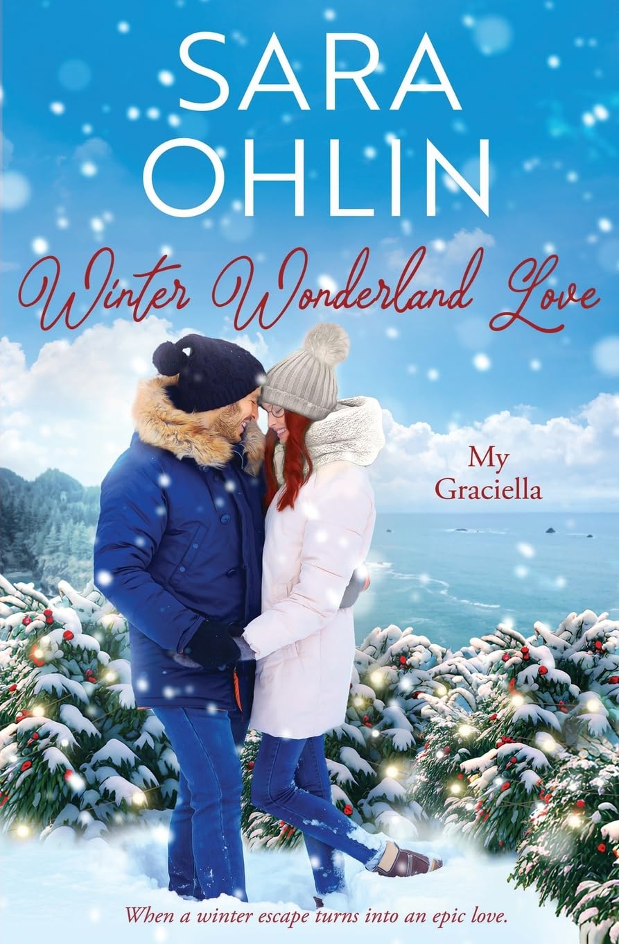 Winter Wonderland Love book