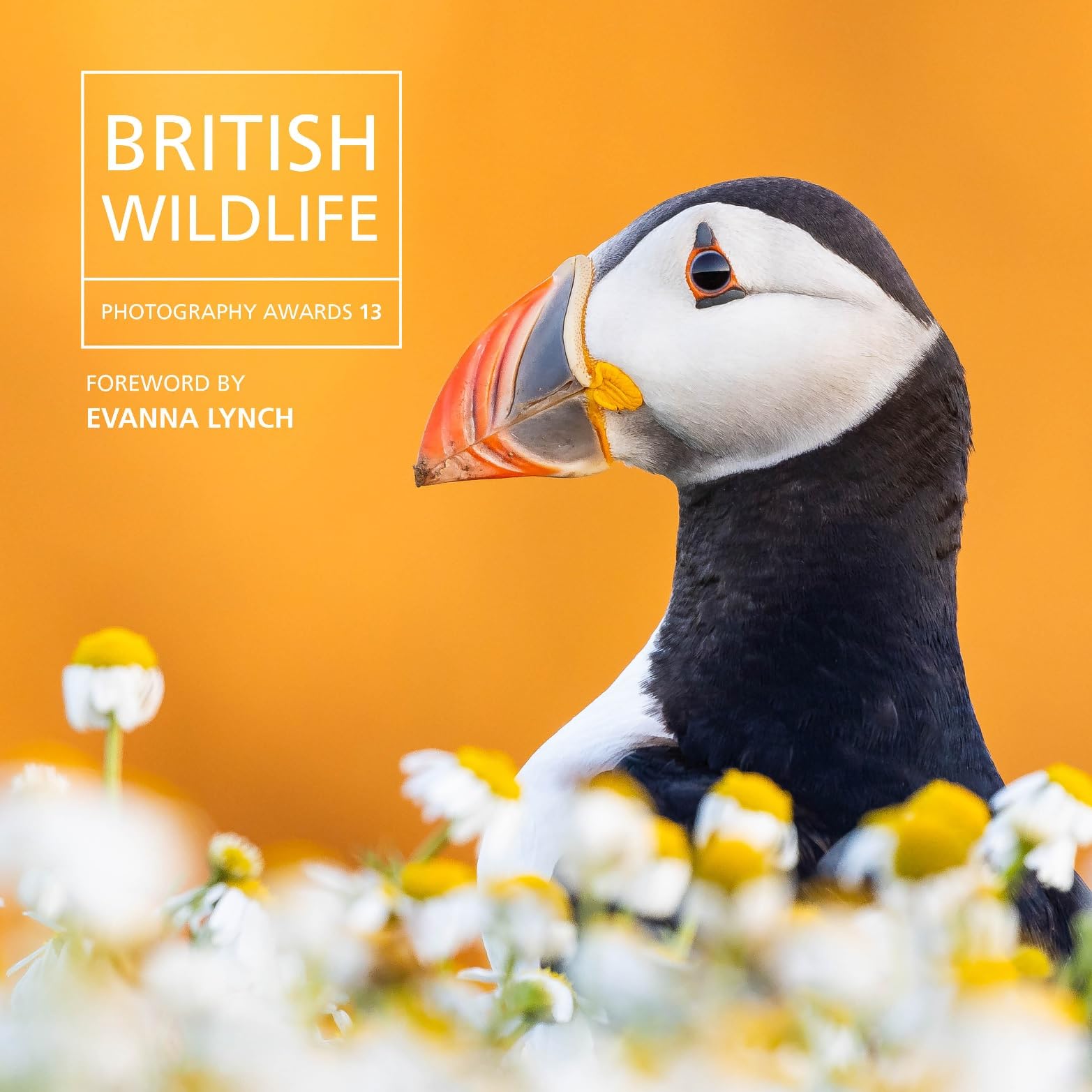 British Wildlife Photography Awards 13 Mathematics