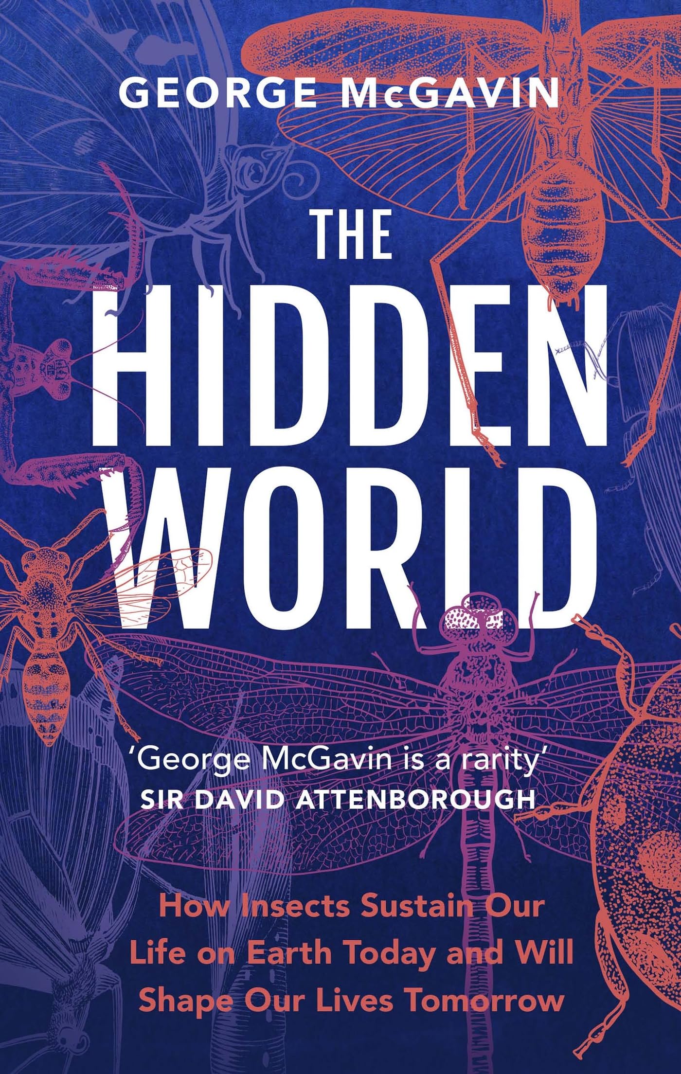 The Hidden World: How Insects Sustain Life on Earth Today and Will Shape Our Lives Tomorrow Mathematics