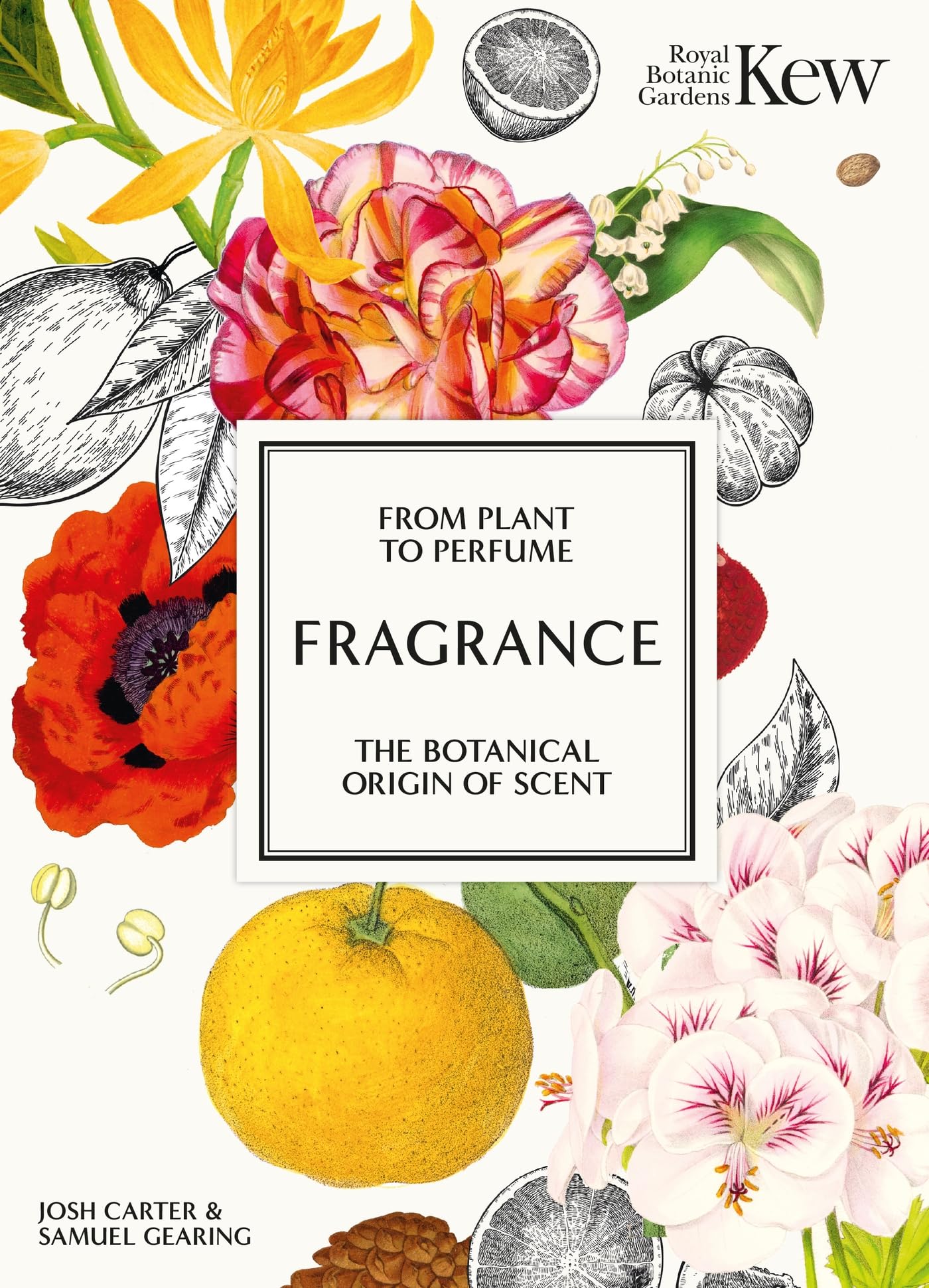 Fragrance: From plant to perfume, the botanical origins of scent (Royal Botanic Gardens, Kew) Memories