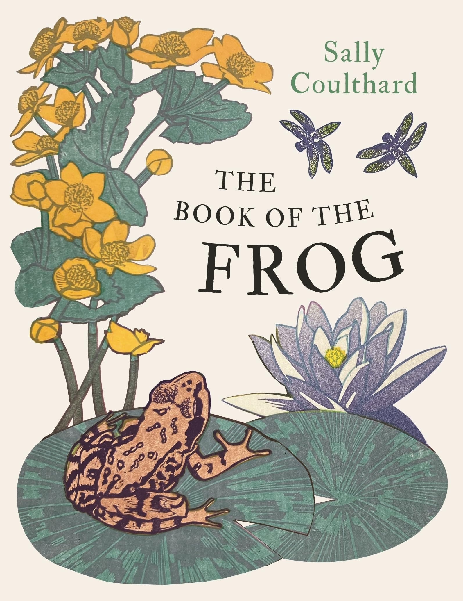 The Book of the Frog Mathematics