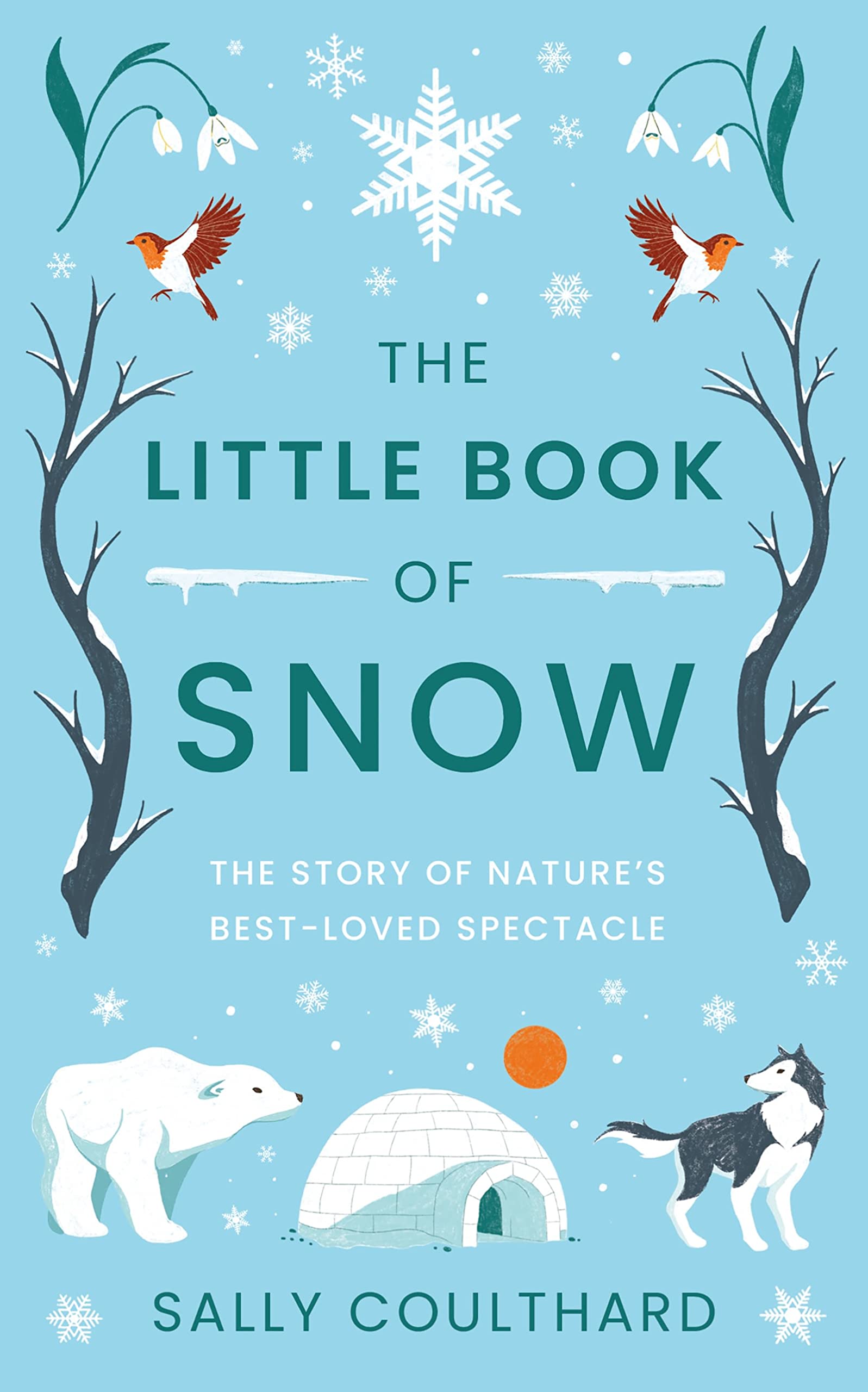 The Little Book of Snow Geology & Geography