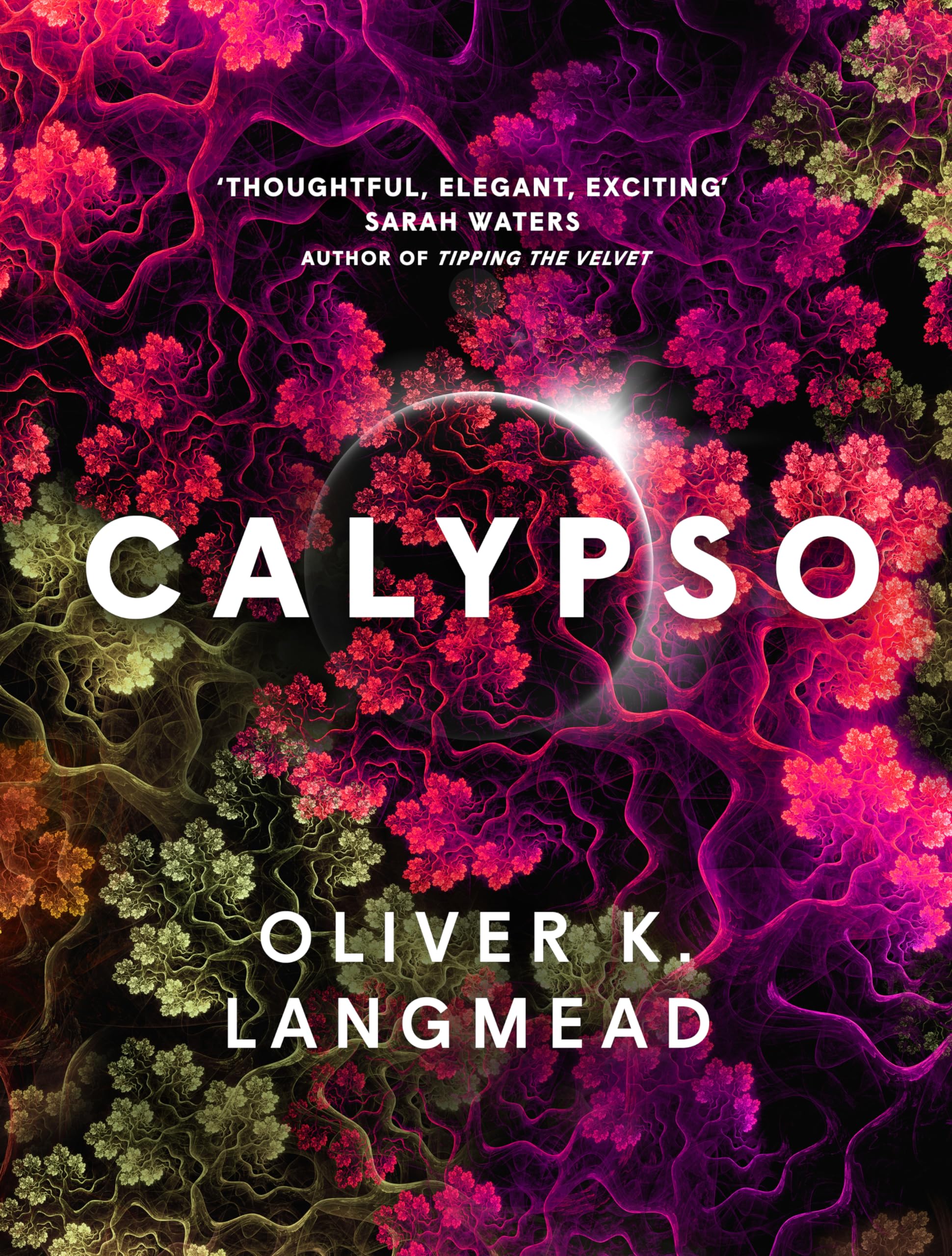 Product Image: Calypso
