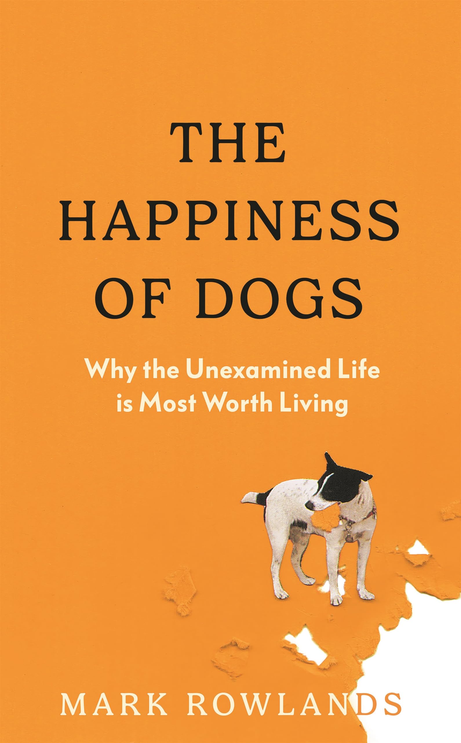The Happiness of Dogs: Why the Unexamined Life Is Most Worth Living Philosophy